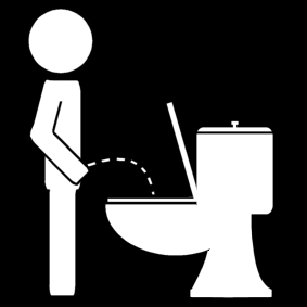 toilette / wc